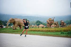 BIB: 
                            <button type="button" onclick="openModal(22406075)" class="btn btn-primary btn-sm float-right btn-popup" data-toggle="modal" data-target=".modal-high-quality">
                        <i class="fas fa-shopping-cart"></i> Add to Cart
                    </button>
                                            <button type="button" onclick="isThisMe(22406075, true)" class="btn btn-success btn-sm float-right btn-popup btn-isme hidden" data-toggle="tooltip" data-placement="bottom" title="นี่คือรูปของคุณใช่ไหม คลิกที่นี่เพื่อเอาเข้าอัลบั้ม">
                        <i class="fas fa-plus"></i> Add to album
                    </button>
                    <button type="button" onclick="isThisMe(22406075, false)" class="btn btn-warning btn-sm float-right btn-popup btn-isnotme hidden">
                        <i class="fas fa-ban"></i> Remove from album
                    </button>